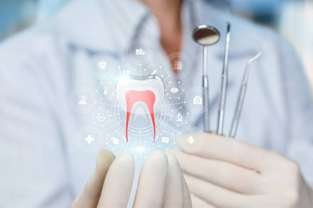 Professional Holistic Dental Care Services in Calera, OK